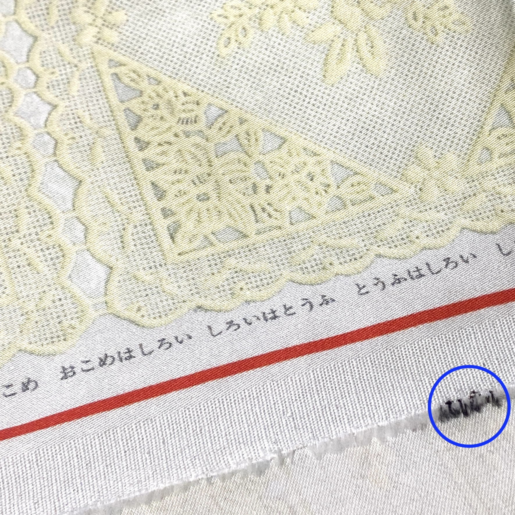 Portugal lace(カットクロス0.5m)コットン - 画像 (9)